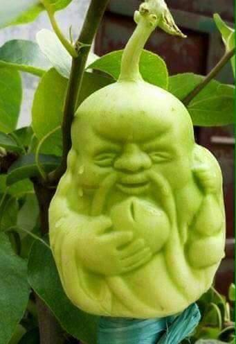[-]Tràn[-]ngập[-]dưa[-]lê[-]thần[-]tài[-]Trung[-]Quốc
